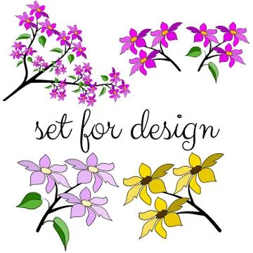 Set of sakura branches on a white background. Stock Illustration