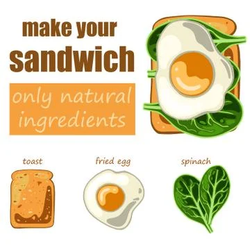 Set with sandwich: toast bread, fried egg and spinach Stock Illustration