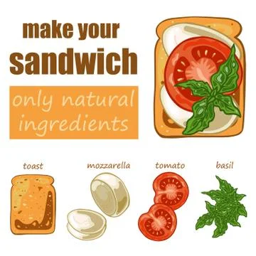 Set with sandwich: toast bread, mozzarella, tomato and basil Stock Illustration