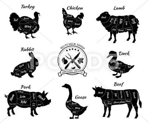 Set Schematic Vew of Animals for Butcher Shop Illustration #60055576