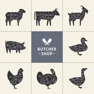 Set a schematic view of animals for the butcher shop. Stock Illustration