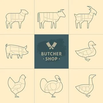Set a schematic view of animals for the butcher shop. Stock Illustration