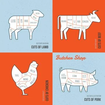 Set a schematic view of animals for the butcher shop. Stock Illustration