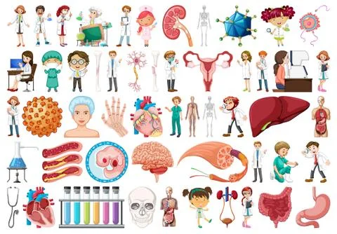 Set of science anatomy Stock Illustration