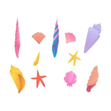 Set of sea and ocean seashells and shells, starfish. 스톡 일러스트