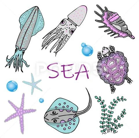 Set of sea animals. Skat, squid, turtle, starfish and shell.. Stock Illustration