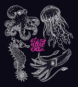 Set of sea creatures Stock Illustration