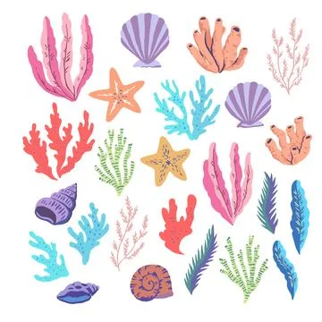 Set of sea elements, corals, seaweeds, shells and sea stars isolated on whi.. Stock Illustration