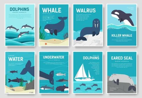 Set of Sea mammals pattern concept. Art animal, magazine, book, poster, abstract Stock Illustration