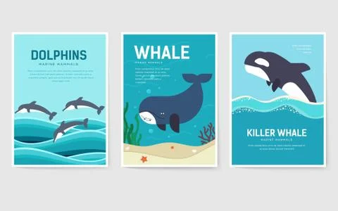 Set of Sea mammals pattern concept. Art animal, magazine, book, poster, abstract Stock Illustration