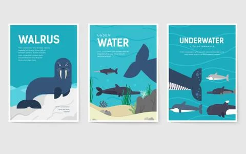 Set of Sea mammals pattern concept. Art animal, magazine, book, poster, abstract Stock Illustration