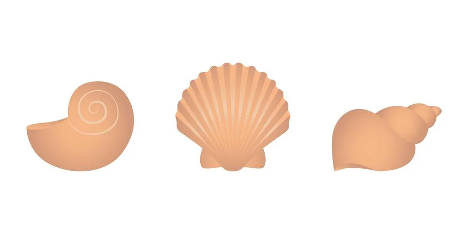 Set of sea shell isolated on white background vector Stock Illustration