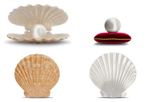 Set of sea shell with pearl inside. Collection gems, women's jewelry, nacre Stock Illustration