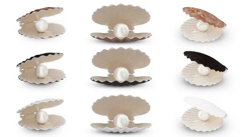Set of sea shell with pearl inside. Collection gems, women's jewelry, nacre Stock Illustration