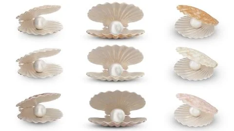 Set of sea shell with pearl inside. Collection gems, women's jewelry, nacre Stock Illustration