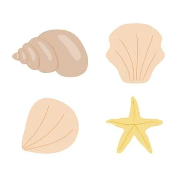 Set of sea shells and sea star, flat vector Stock Illustration