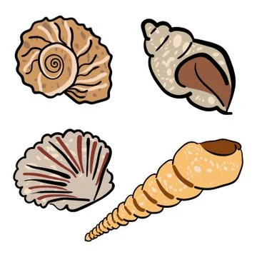 Set of sea shells Stock Illustration