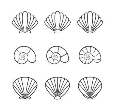 Set of sea shells isolated on a white background Illustrazione stock