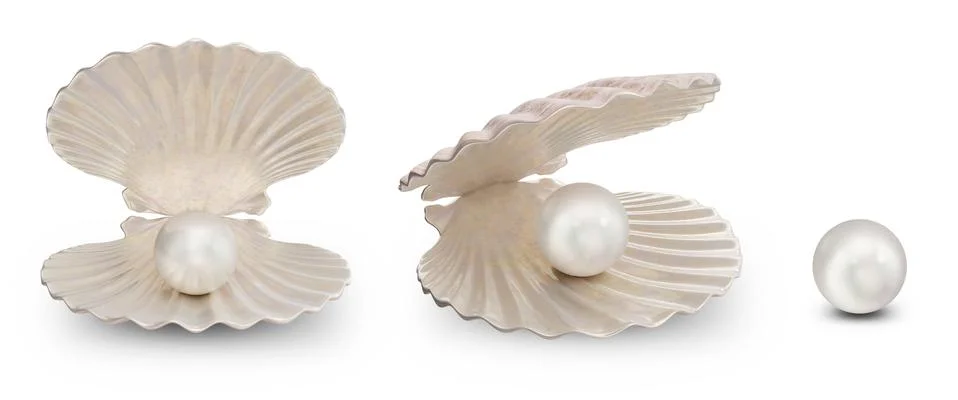 Set of sea shells with pearl inside. Collection gems, women's jewelry, nacre Illustrazione stock