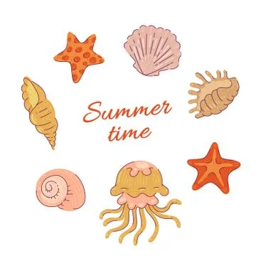 Set sea shells starfish and jellyfish. Vector ocean tropical animals cartoon Stock-Illustration