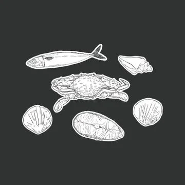 Set of seafood ,isolated vector. Stock Illustration