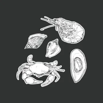 Set of seafood ,isolated vector. Stock Illustration