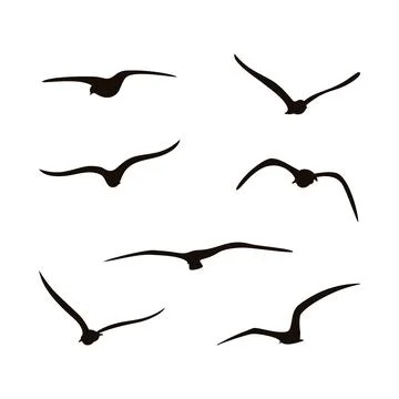 Set of seagull abstract silhouette Stockillustratie