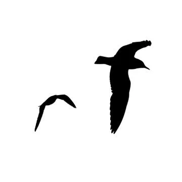 Set - seagull silhouette on white background collection Stock Illustration