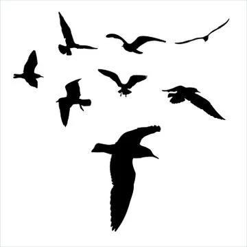 Set - seagull silhouette on white background collection Illustrazione stock