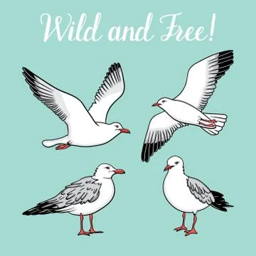 Set with seagulls isolated on blue background Stock Illustration