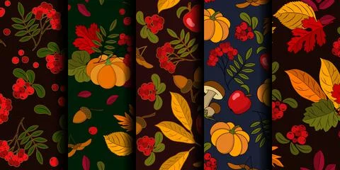 Set of seamless autumn patterns with natural elements on dark background. Stock Illustration