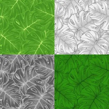 Set seamless backgrounds of palm leaf Monstera Stock Illustration