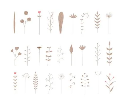 Set of seamless Botanical brushes. set of stylized branches with leaves Stock Illustration