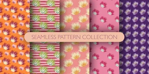 Set of seamless bush pattern. Shrubs background collection. Abstract cactus b Stock Illustration