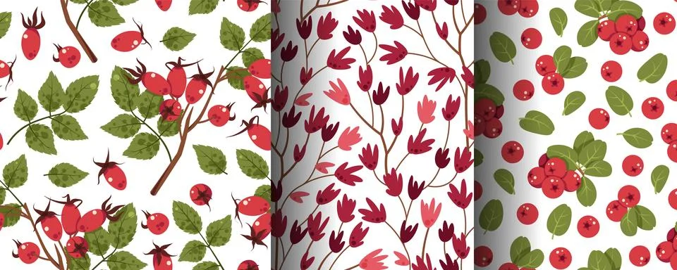 Set of Seamless Forest Patterns with Lingonberry, Rosehip, Leaves and Flowers Stock Illustration