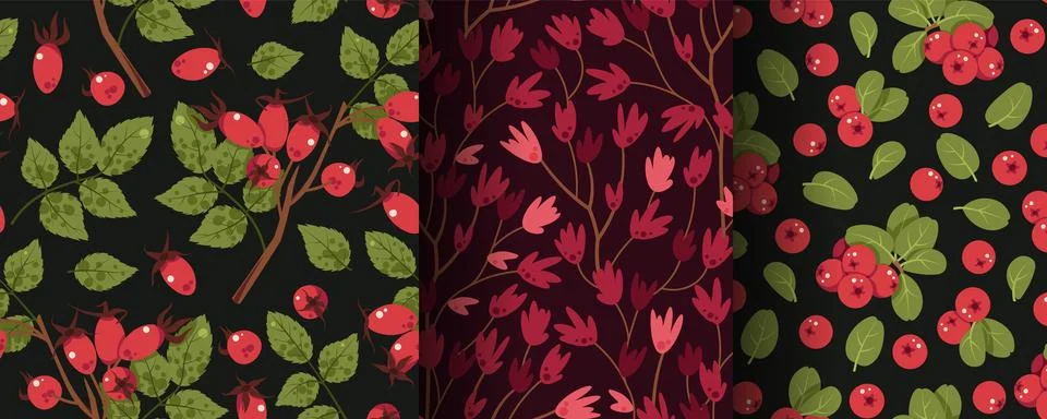Set of Seamless Forest Patterns with Lingonberry, Rosehip, Leaves and Flowers Stock Illustration