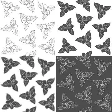 Set of seamless pattern with black and white spring flowers. Stock Illustration