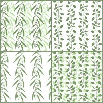 Set of seamless pattern branches of eucalyptus and Camphor laurel. Vector green Illustrazione stock