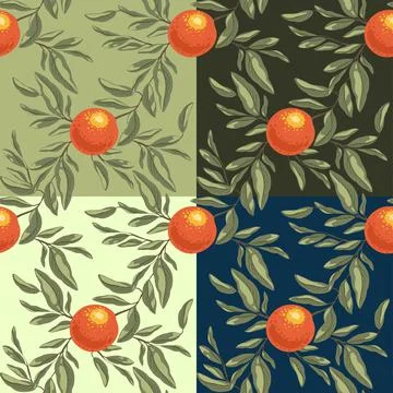 Set of seamless pattern with oranges branch. Fruit Stock Illustration