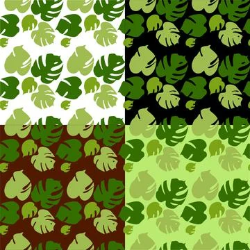 Set seamless pattern with tropical leaves of monstera on black, white, brown  Illustrazione stock