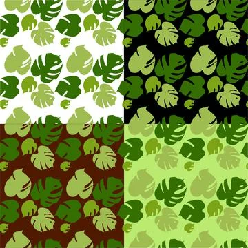 Set seamless pattern with tropical leaves of monstera on black, white, brown  Illustrazione stock