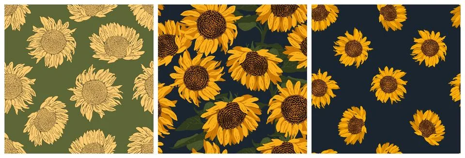 Set of seamless patterns with blooming sunflowers. Colorful modern flat vecto Stockillustratie