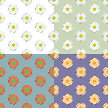 Set of seamless patterns with chamomile flower. Summer flower. Ornament for d Illustrazione stock