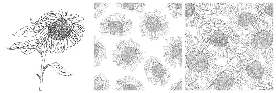 Set of seamless patterns with graphic hand-drawn sunflowers. Vector black and Illustrazione stock