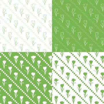 Set of seamless patterns with green crocus flowers, saffron. Stock Illustration