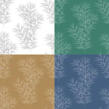 Set of seamless patterns with juniper branches. Stock Illustration