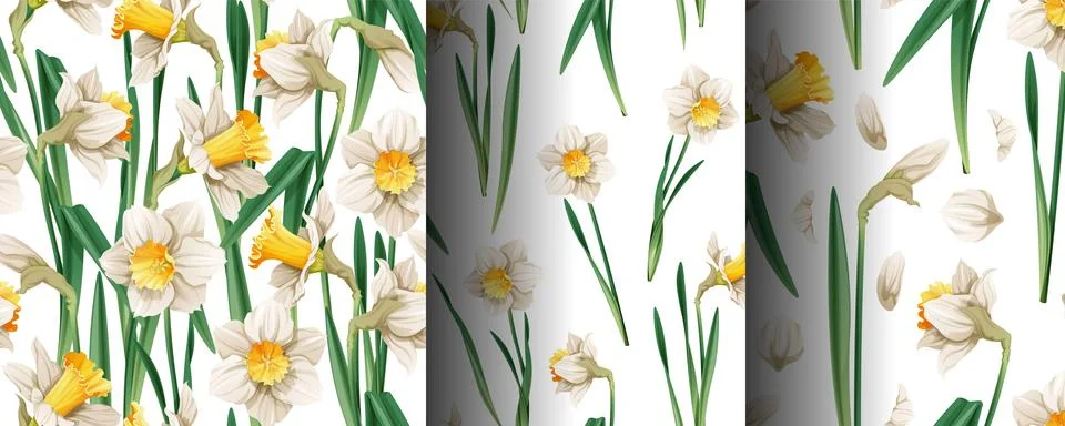 Set of seamless patterns with spring flowers. Texture with daffodils and peta Stock Illustration
