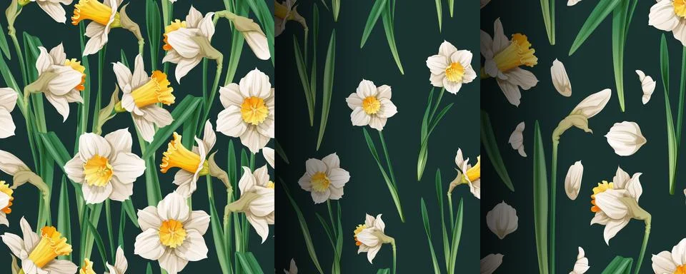 Set of seamless patterns with spring flowers. Texture with daffodils and peta Stock Illustration