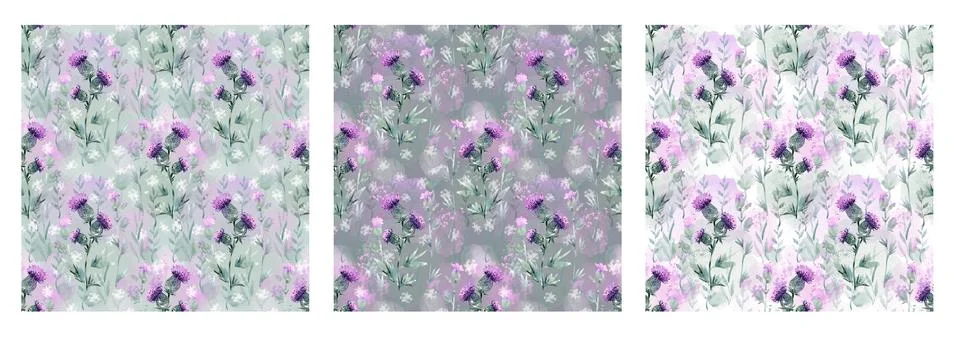 A set of seamless patterns with thistle flowers. A pattern with field pink Stock Illustration