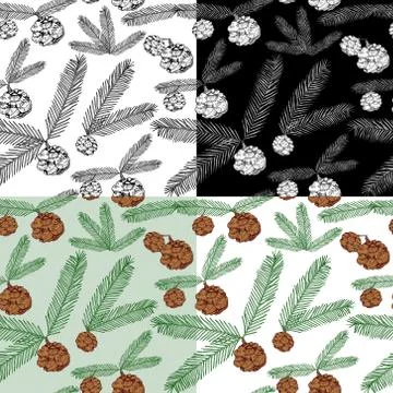 Set of seamless patterns tree twigs and cones painted line and colored on white Stock Illustration